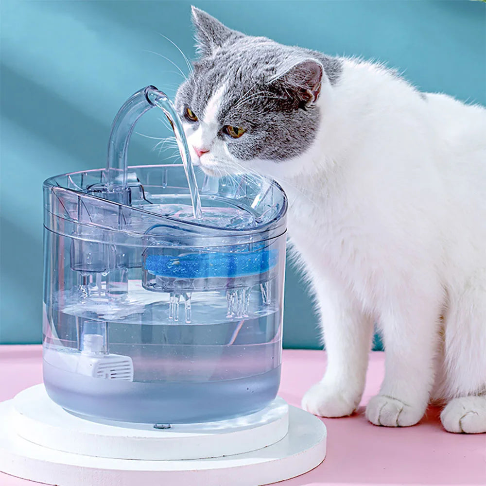 Cat Water Feeder Automation Sensor