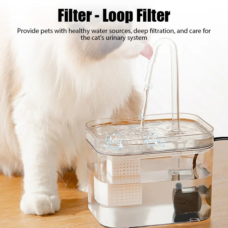Transparent Auto Filter Cat Water Dispenser